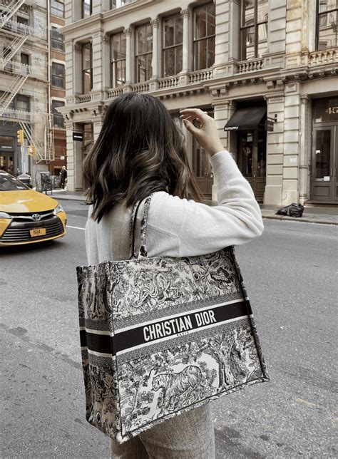 dior handbag book tote dupes